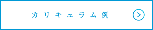 カリキュラム例