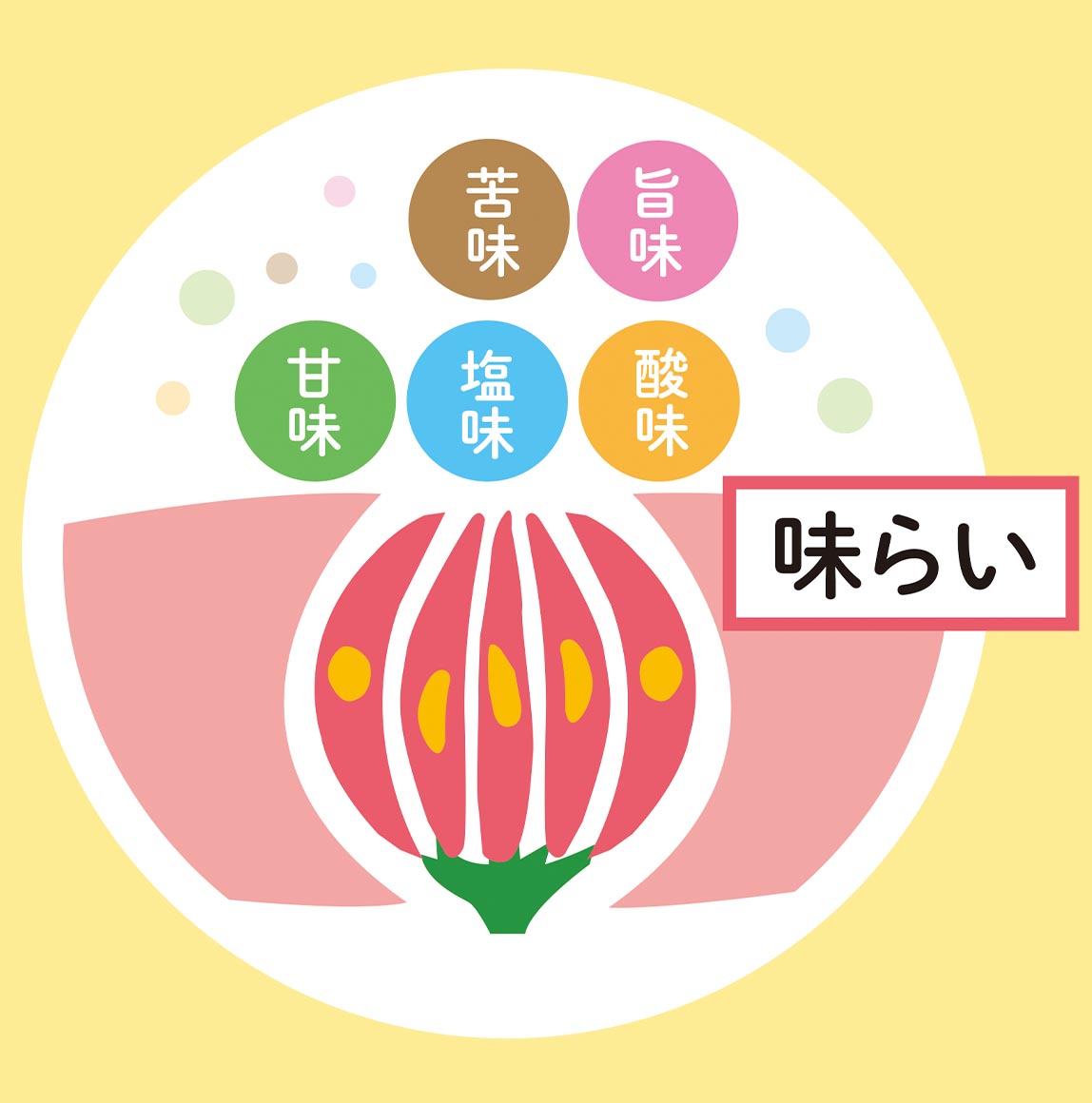 「旨味」がおいしさのカギ！