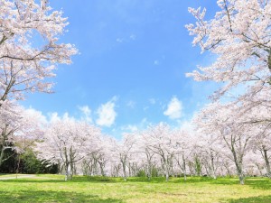 【志望校対策】算数が苦手な僕が開成に合格するまで