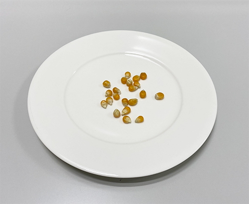 popcorn1