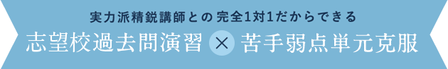 実力派精鋭講師との完全1対1