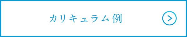 カリキュラム例