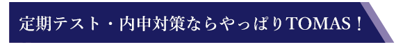 TOMASマンツーマン定期テスト対策の特色