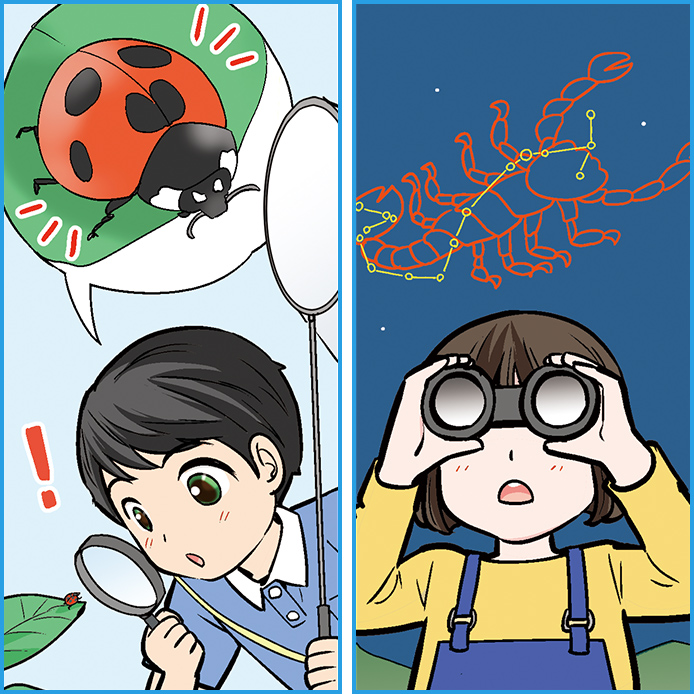 小学2年生の進学個別指導